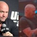 UFC President was caught slapping his wife in Los Cabos Club